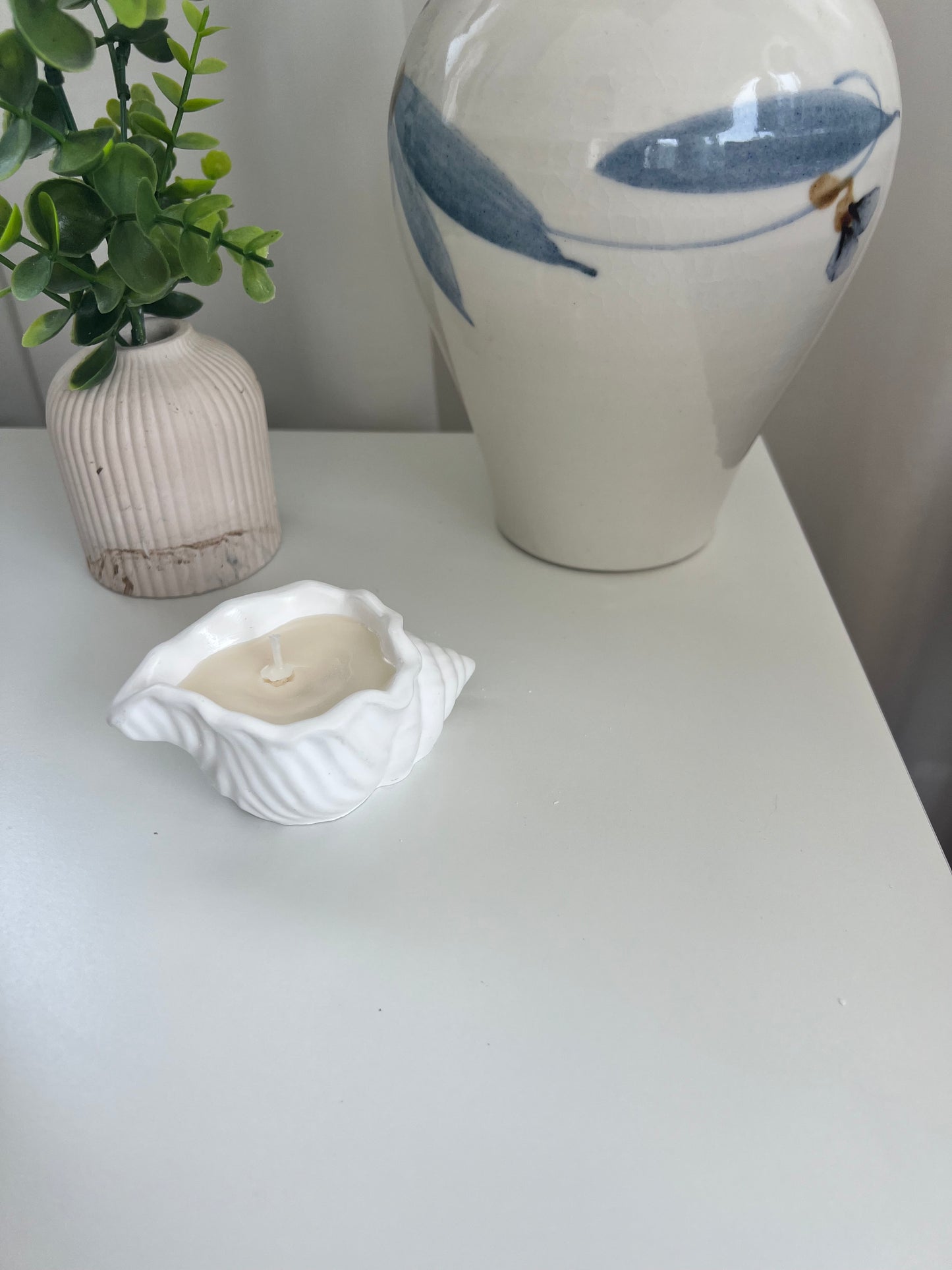 Sea Shell Candles