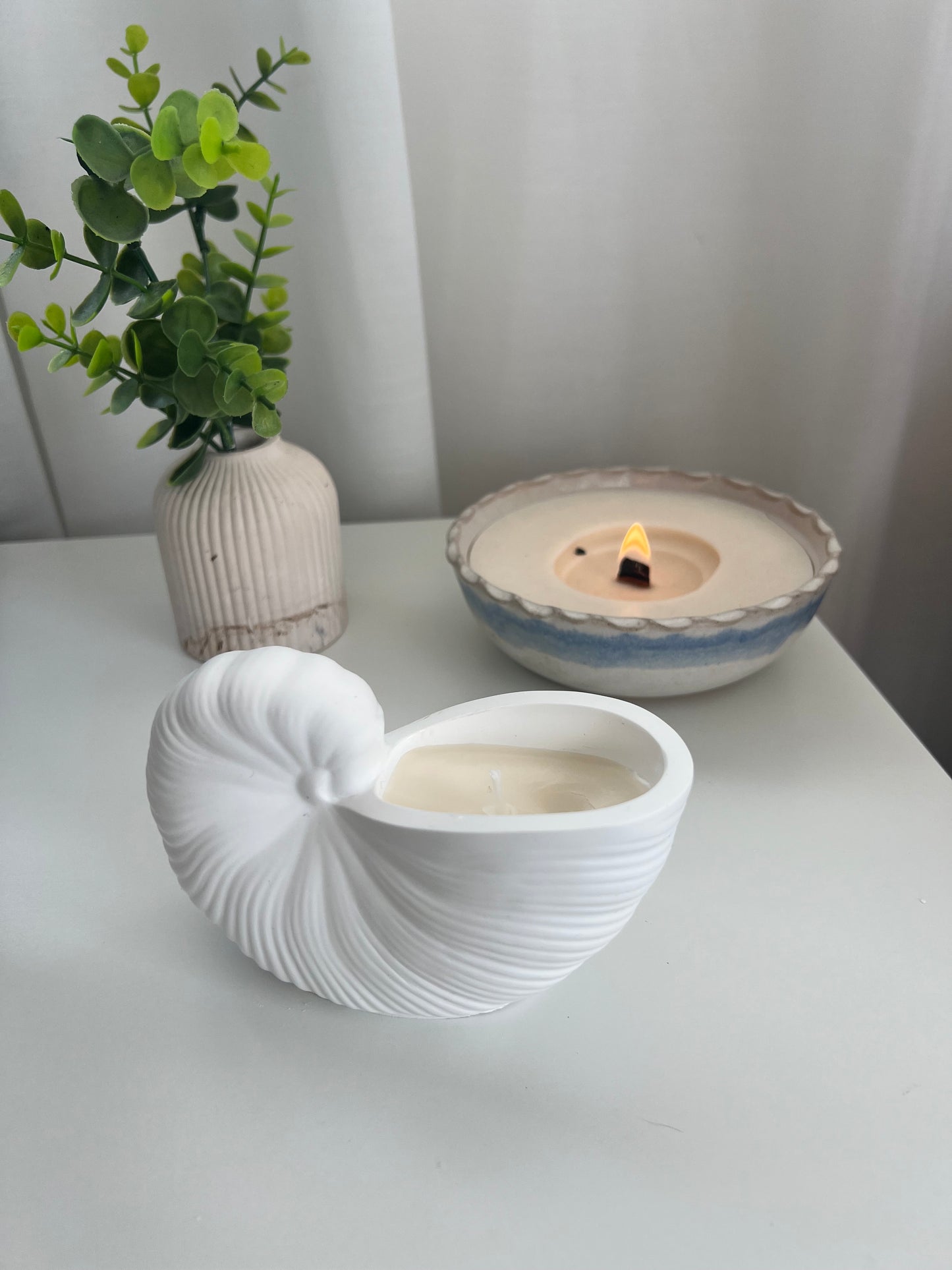Sea Shell Candles