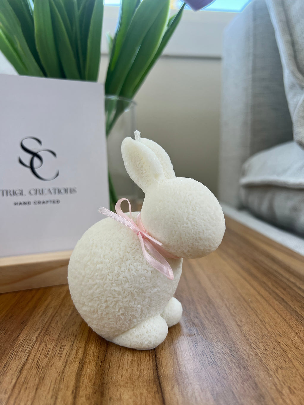 Bunny 🐰